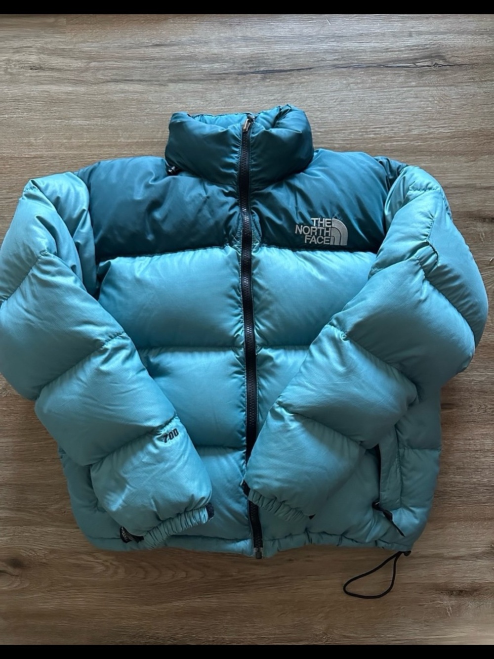 The North Face teal blue Nuptse 700 Puffer Jacket